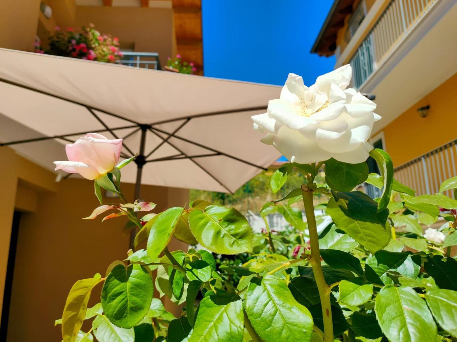Villino Maria Pia, Appartamento In Villino In Centro Storico L'Aquila Ngoại thất bức ảnh